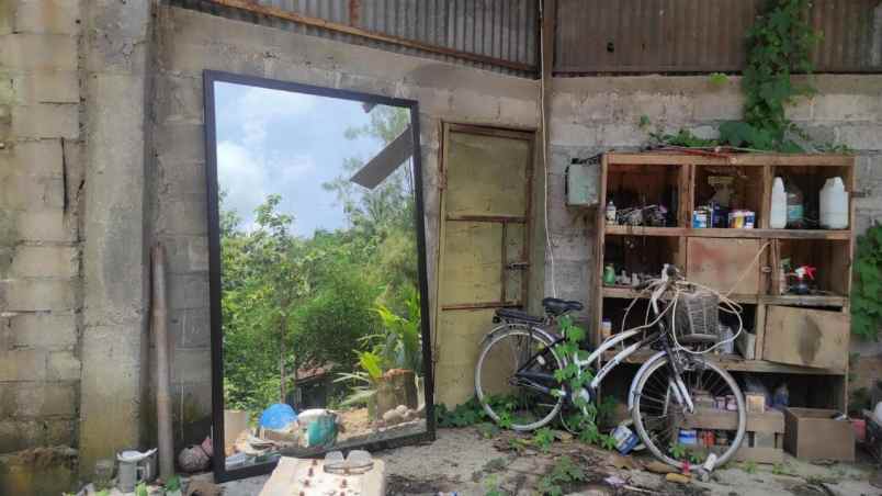 dijual tanah pertanian strategis tepi jalan utama