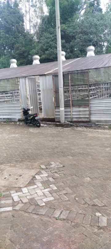 dijual tanah pujon