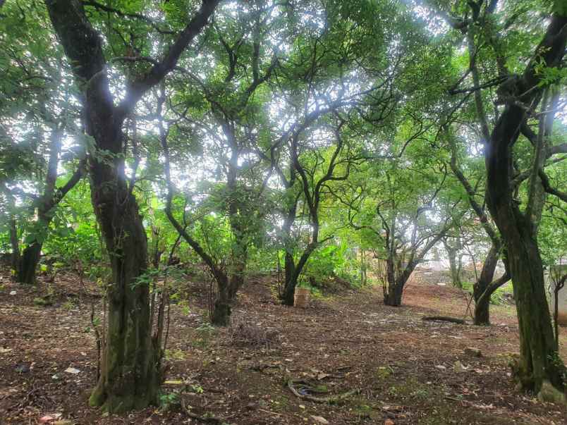 dijual tanah rangkapan jaya kec