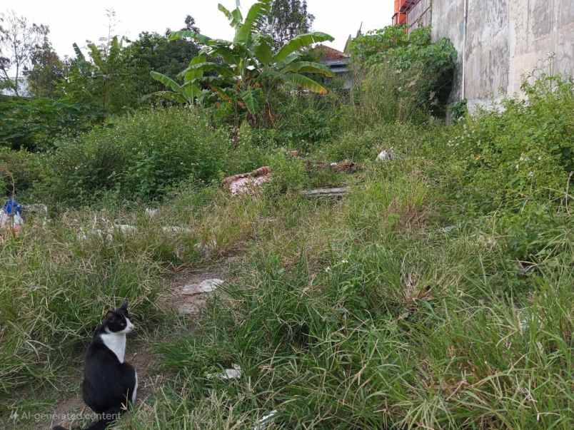 dijual tanah riung bandung cipamokolan