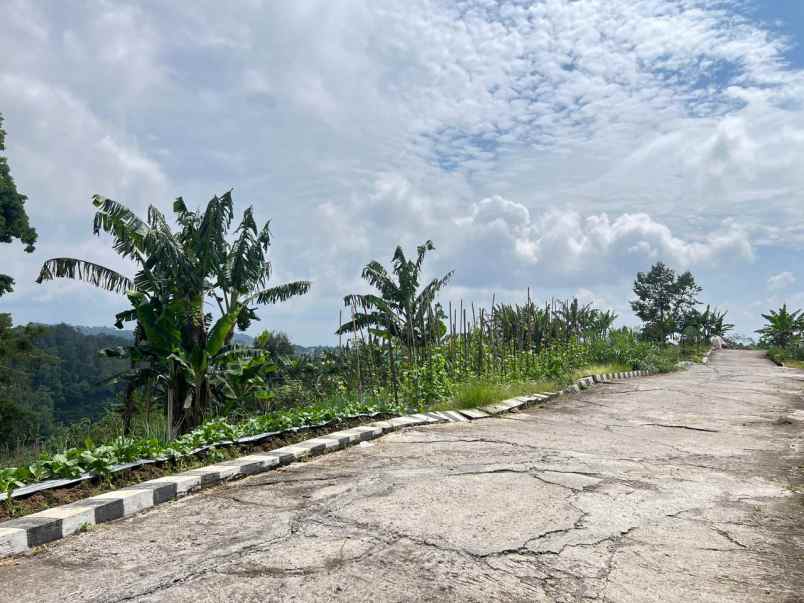 dijual tanah tawangmangu karanganyar