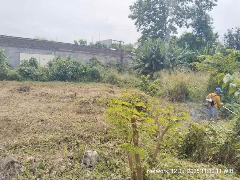 dijual tanah tembalang semarang jawa tengah