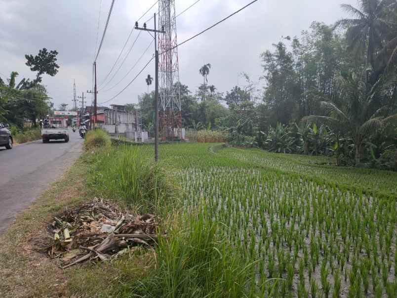 dijual tanah tunjungtirto