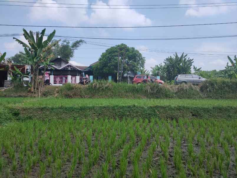 dijual tanah tunjungtirto