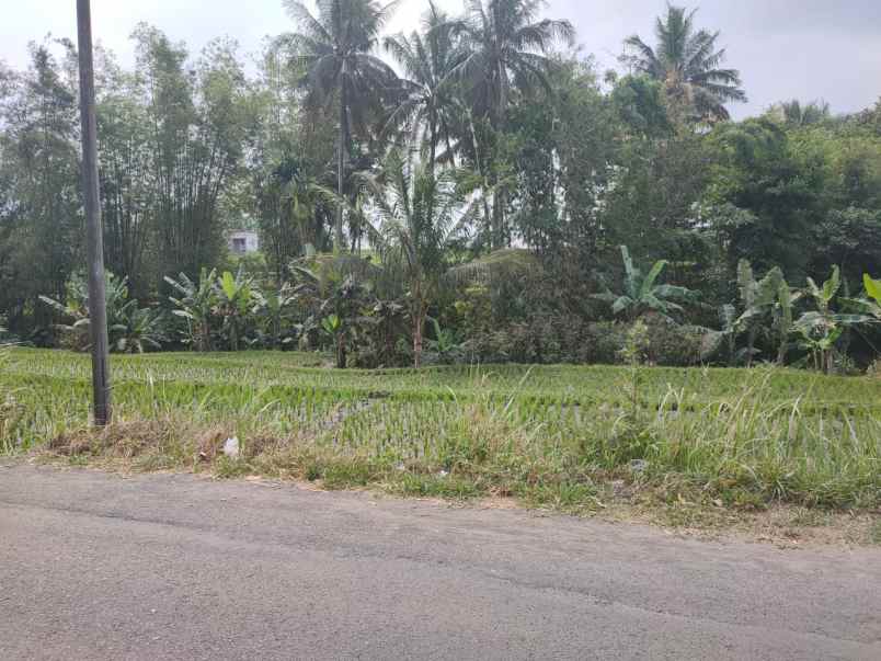 dijual tanah tunjungtirto