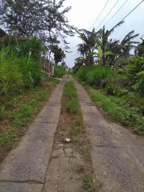 dijual tanah wanagiri singaraja bali