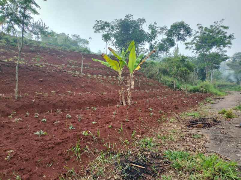 dijual tanah wargamekar