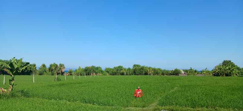 disewakan tanah jalan by pass ida bagus