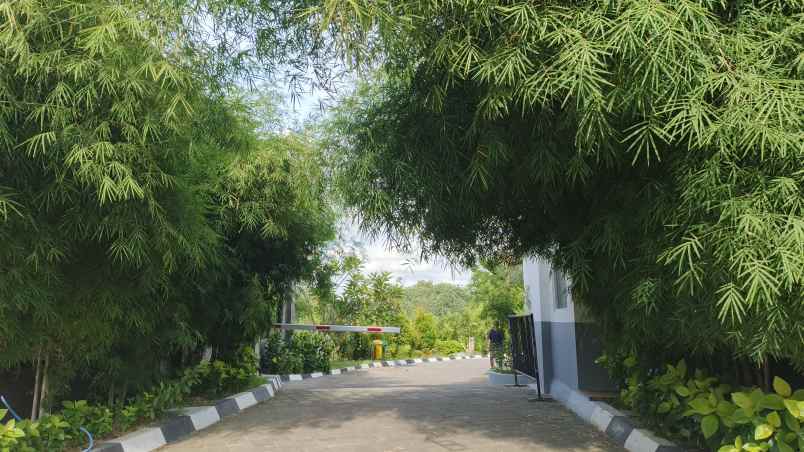 for sale a prime land and villa complex