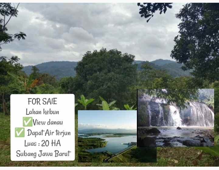 for sale lahan kebun cijambe subang jawa barat