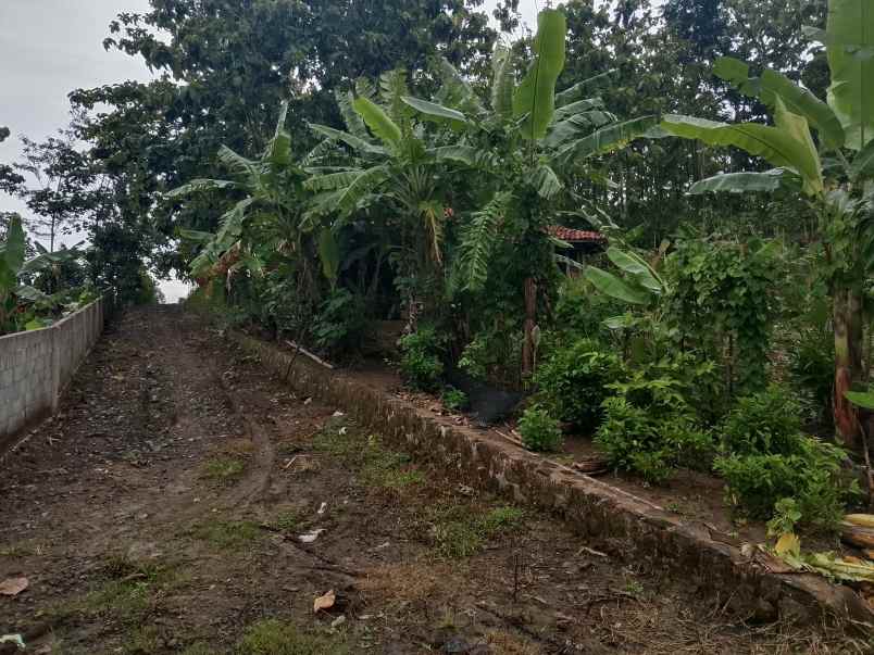 for sale lahan kebun cijambe subang jawa barat