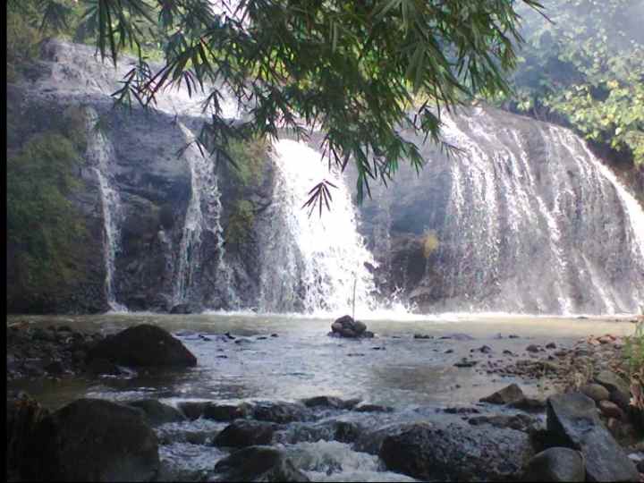 for sale lahan kebun cijambe subang jawa barat