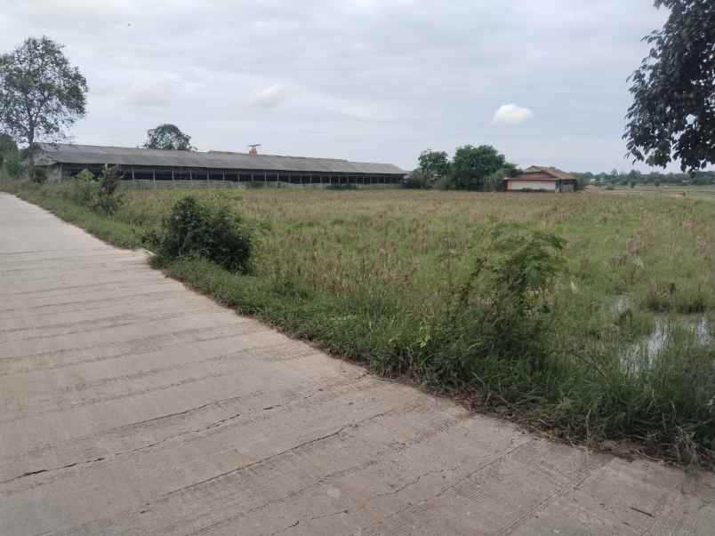 for sale tanah bangunan kandang ayam petelur subang