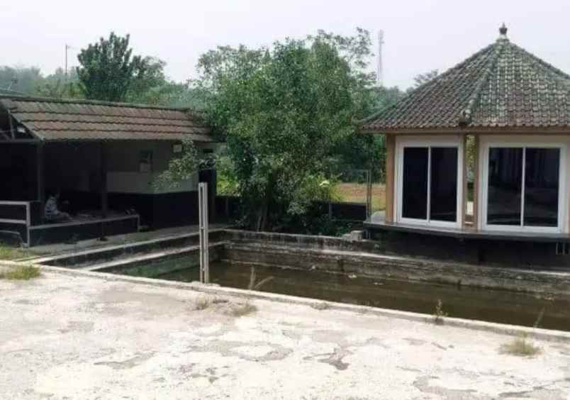 jual cepat rumah vila plus kebunnya