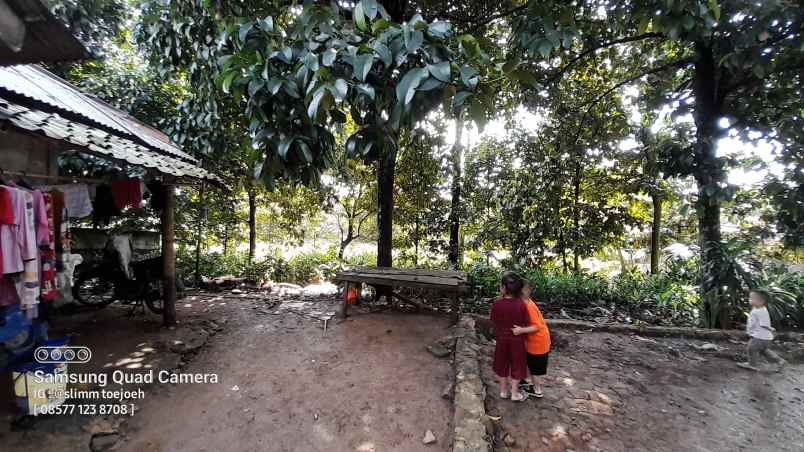 jual cepat tanah kampung butuh uang