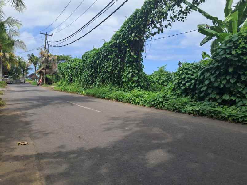 jual tanah dekat pantai keramas giayar bali