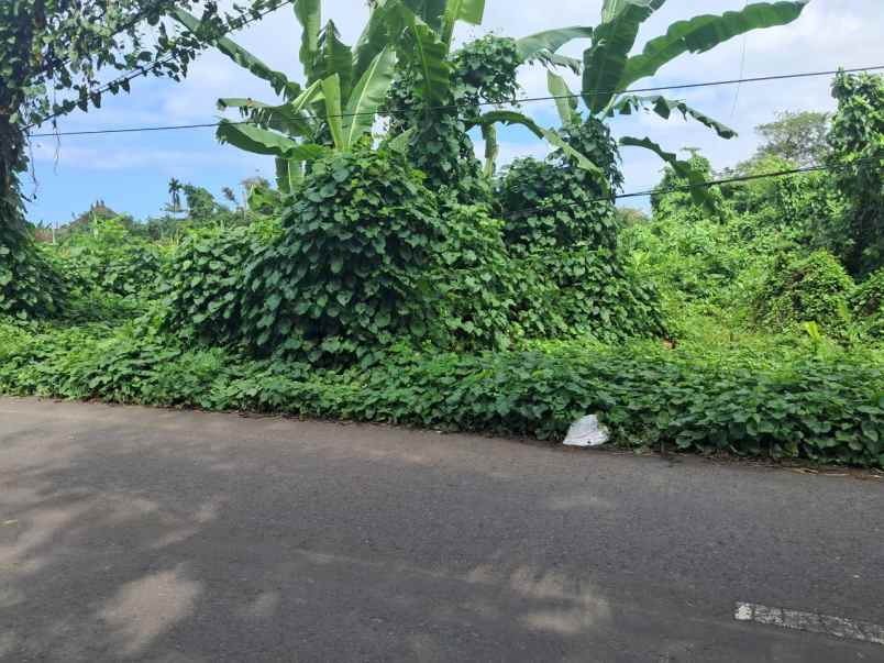 jual tanah dekat pantai keramas giayar bali