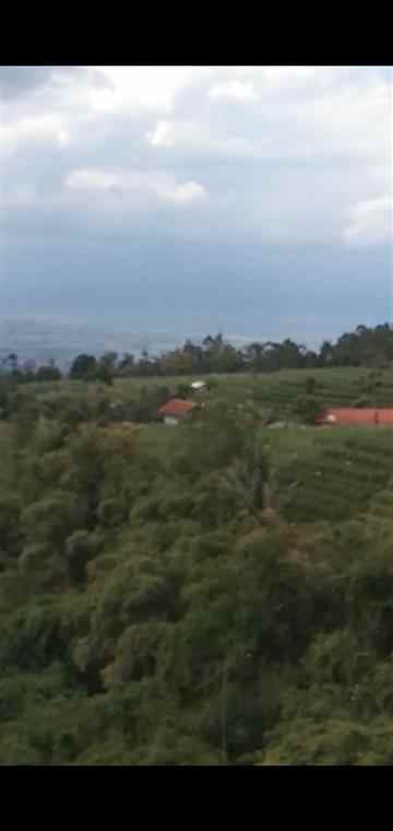 lahan kamojang hill bridge ibun majalaya