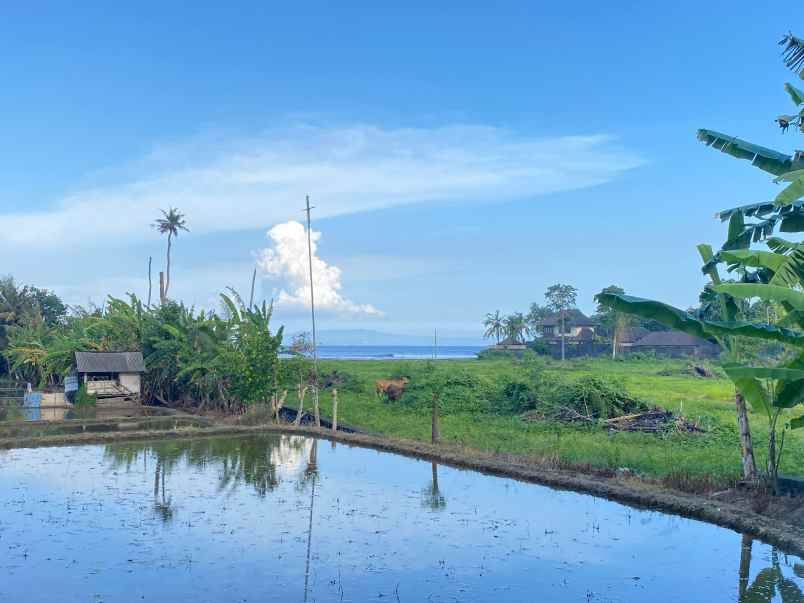 murah tanah di kawasan ketewel sukawati gianyar bali