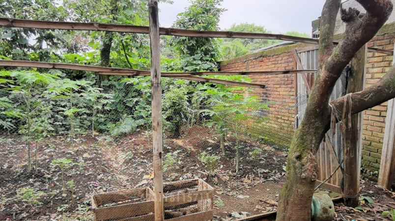 rumah bogor asri shm halaman luas