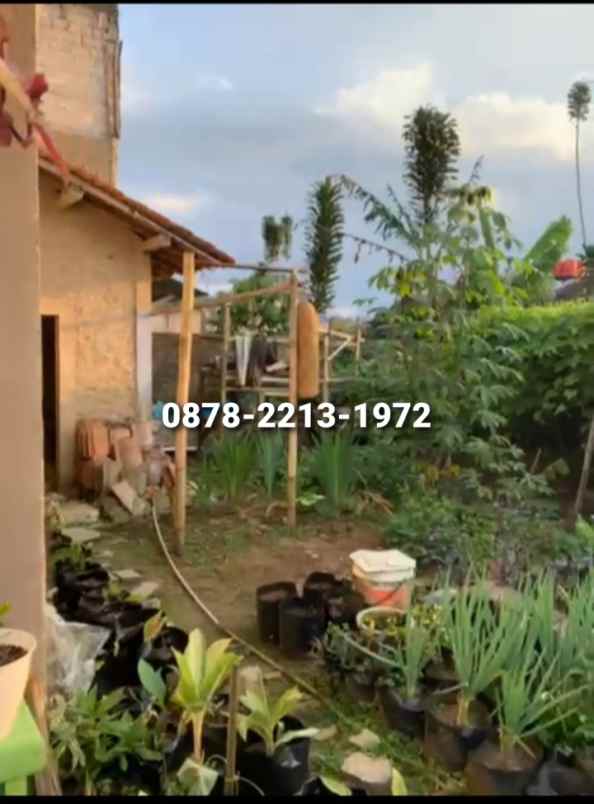 rumah bsgus unyuk resto dan guest house di lrmbang