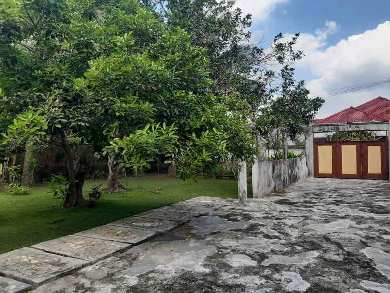 rumah di kaliwates dekat lippo mall jember