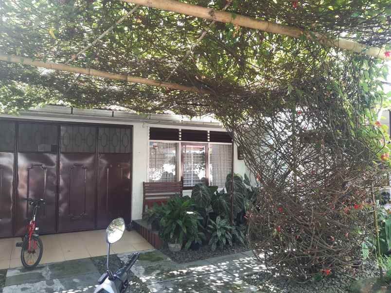 rumah di kaliwates dekat lippo mall jember