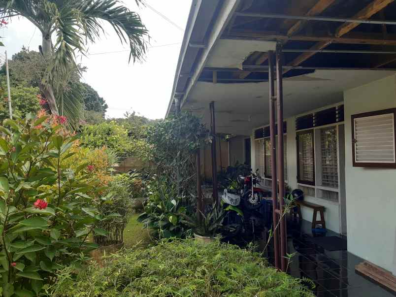 rumah di kaliwates dekat lippo mall jember