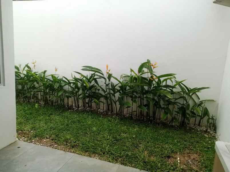 rumah dijual area bogor