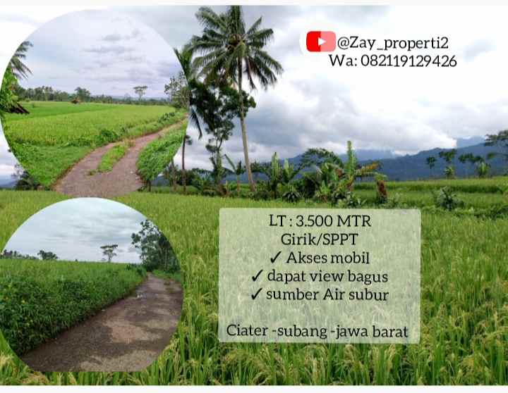 sawah produktif daerah ciater subang jawa barat