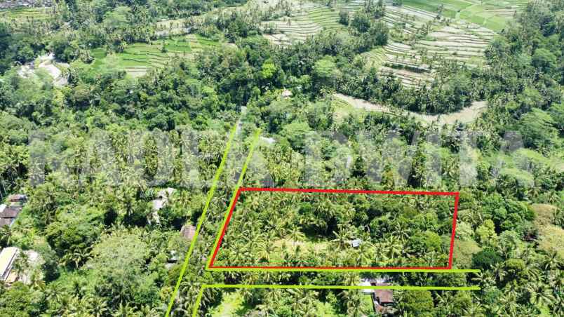 sewa kontrak tanah tegalalang ubud view lembah