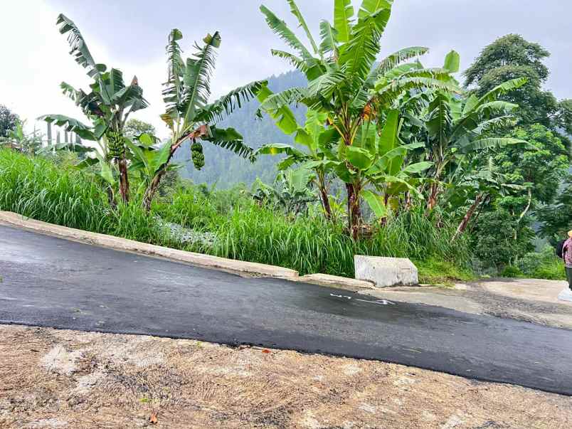 tanah 2210m strategis bangun villa wisata ngargoyoso