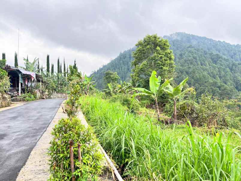 tanah 2210m strategis bangun villa wisata ngargoyoso