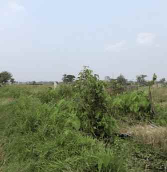 tanah bekas kolam lingkungan pertanian