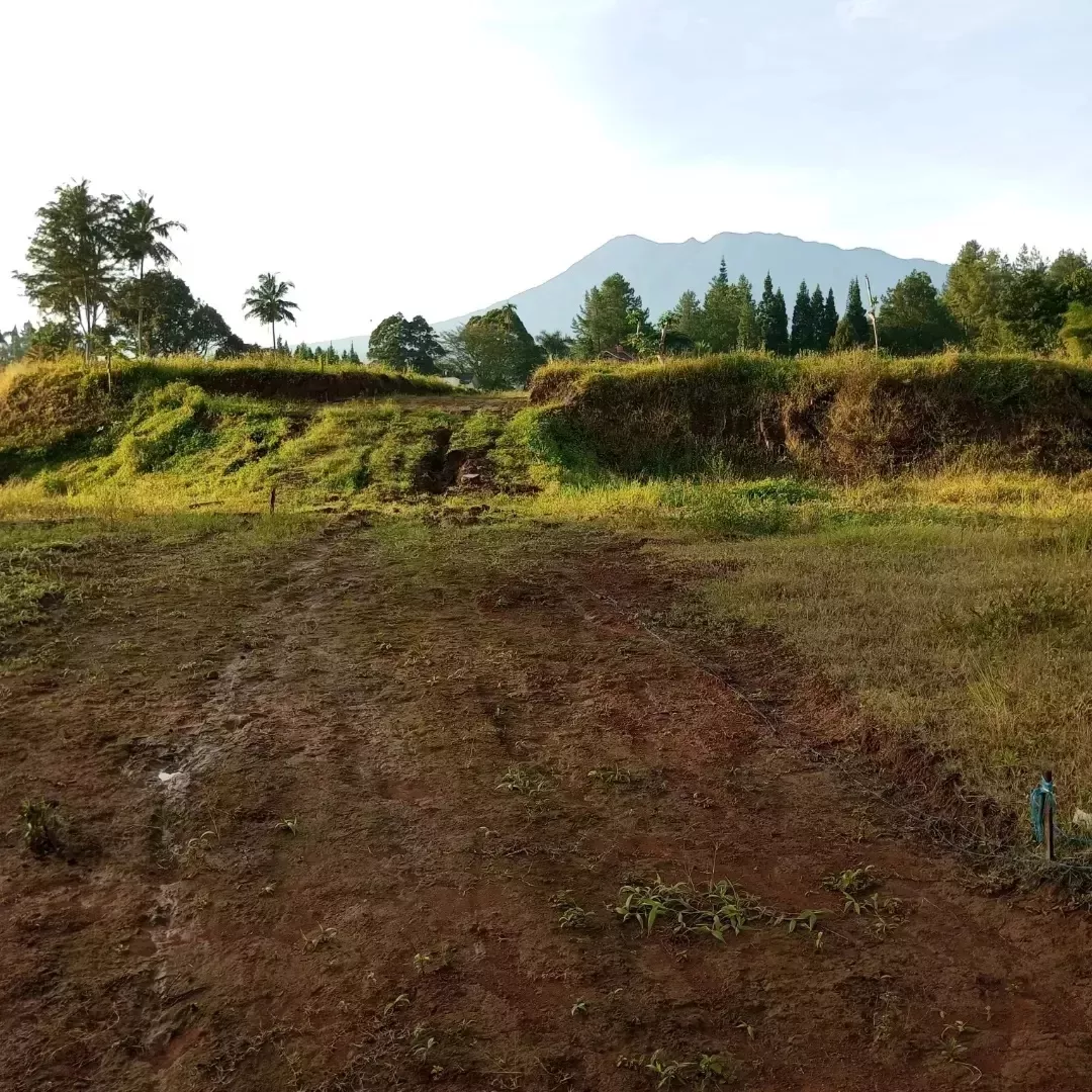 tanah cisarua puncak bogor