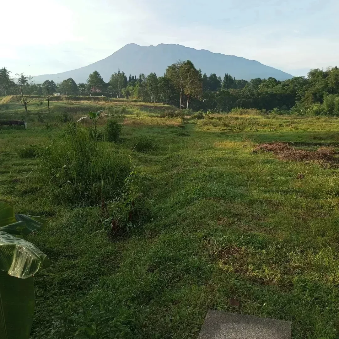 tanah cisarua puncak bogor