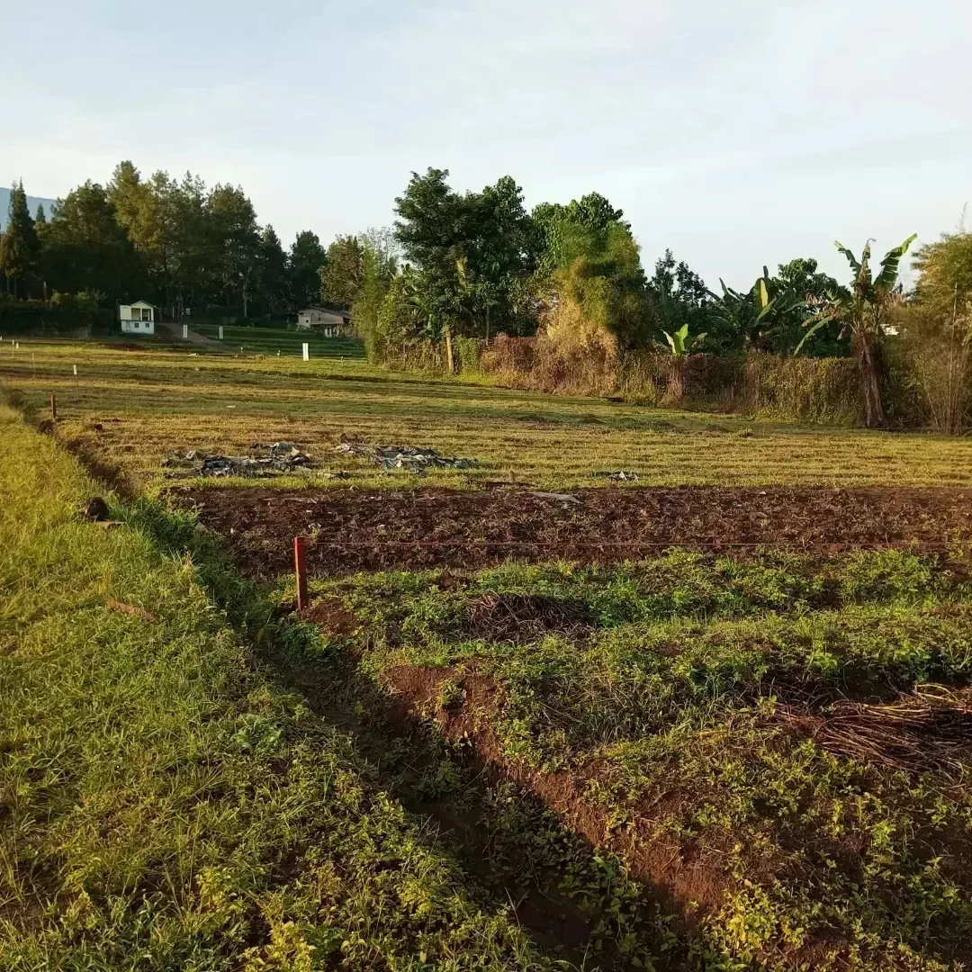 tanah cisarua puncak bogor