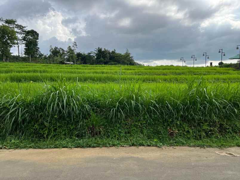 tanah datar 178m dekat isykarima karangpandan