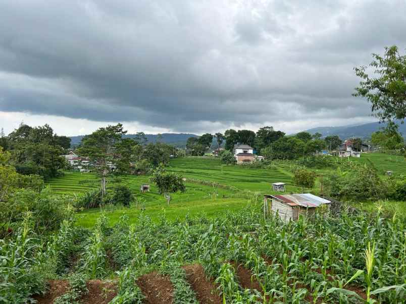 tanah datar 178m dekat isykarima karangpandan