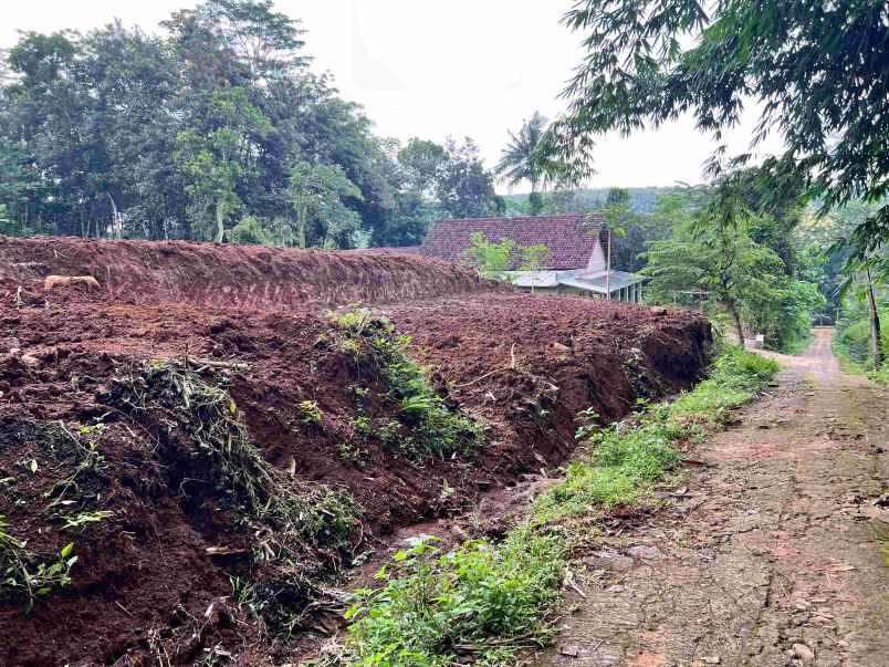 tanah datar 1990m 500 juta kerjo karanganyar