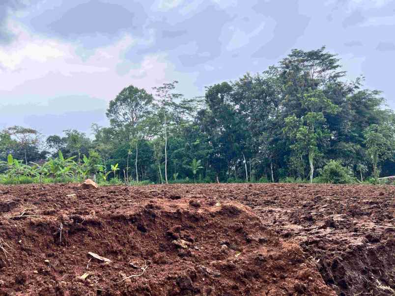 tanah datar 1990m 500 juta kerjo karanganyar