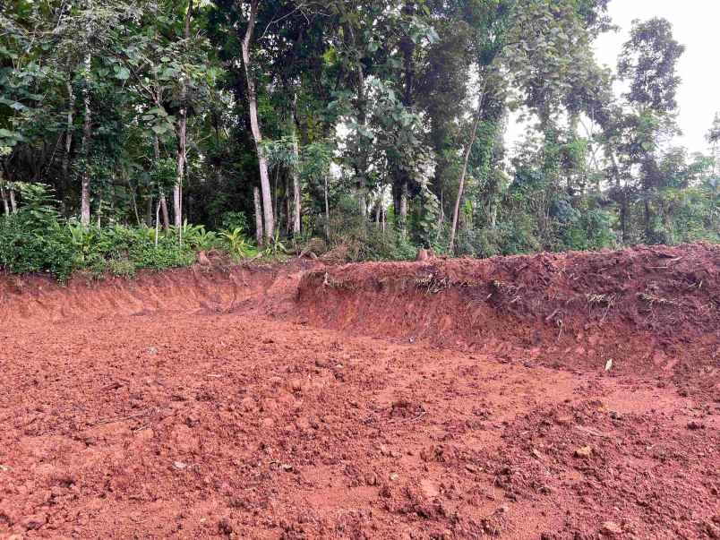 tanah datar 1990m 500 juta kerjo karanganyar