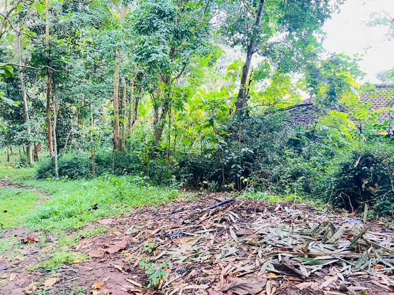 tanah datar 2000m2 selatan kecamatan kerjo karanganyar