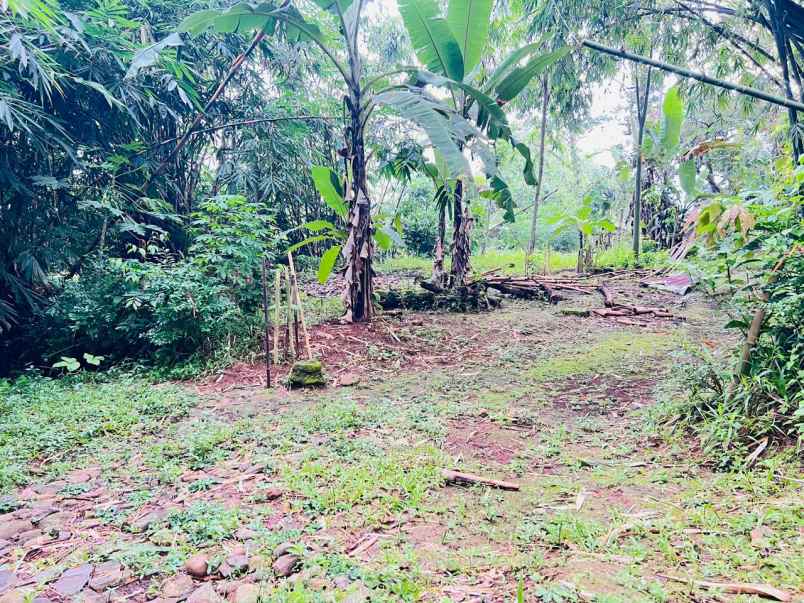 tanah datar 2000m2 selatan kecamatan kerjo karanganyar