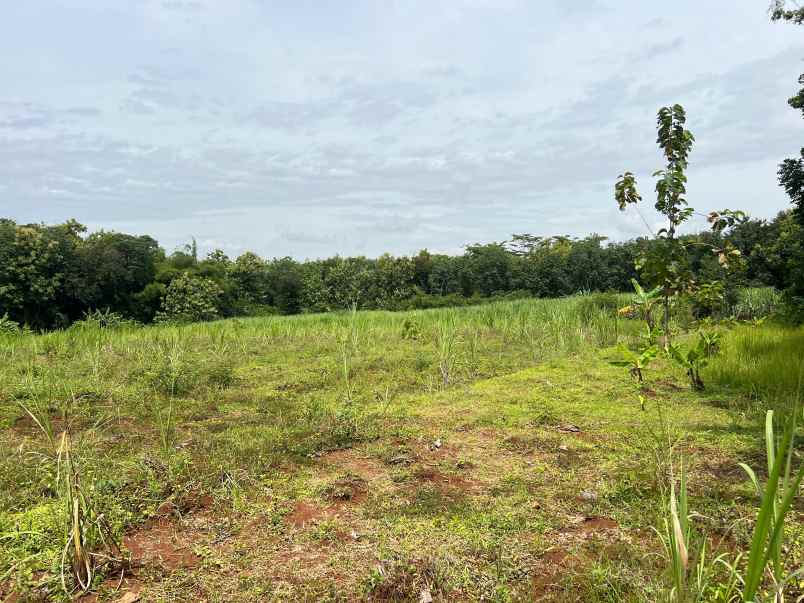 tanah datar 8000m hanya 200rb m kerjo karanganyar