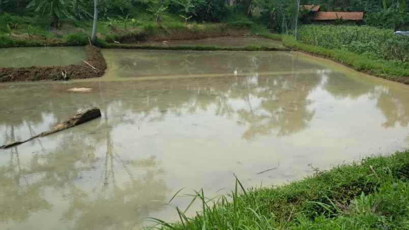 tanah depan lido cigombong