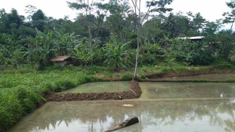 tanah depan lido cigombong