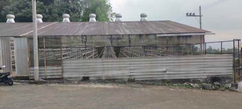 tanah greenhouse luas siap beroperasi di pujon malang