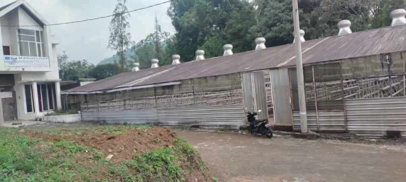 tanah greenhouse luas siap beroperasi di pujon malang