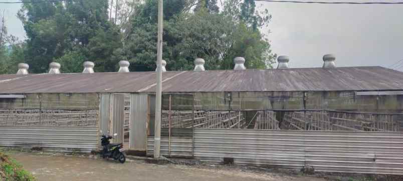 tanah greenhouse luas siap beroperasi di pujon malang